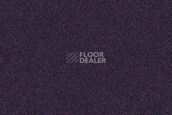 Ковровая плитка Interface Polichrome 7581 Lilac фото 1 | FLOORDEALER