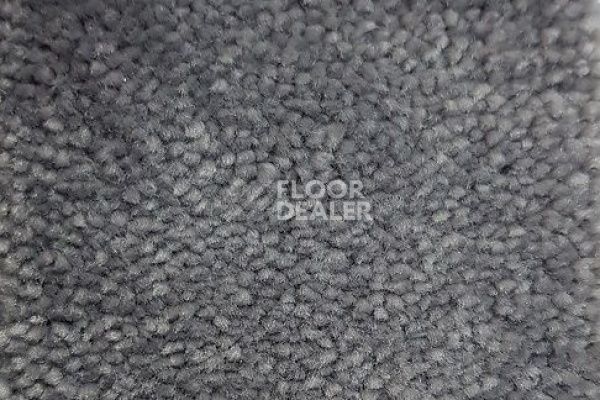 Ковролин CONDOR Carpets Chablis 308 фото 1 | FLOORDEALER