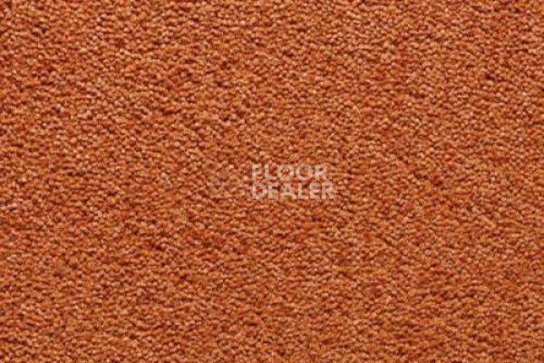 Ковролин CONDOR Carpets Antartica 219 фото 1 | FLOORDEALER