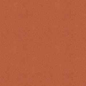 Ковровая плитка Tessera basis pro 4209 clementine фото ##numphoto## | FLOORDEALER