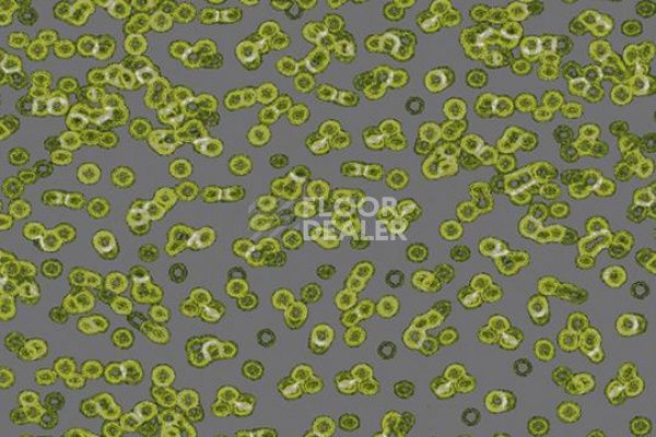 Ковролин Flotex Sottsass Bacteria 990302 фото 1 | FLOORDEALER