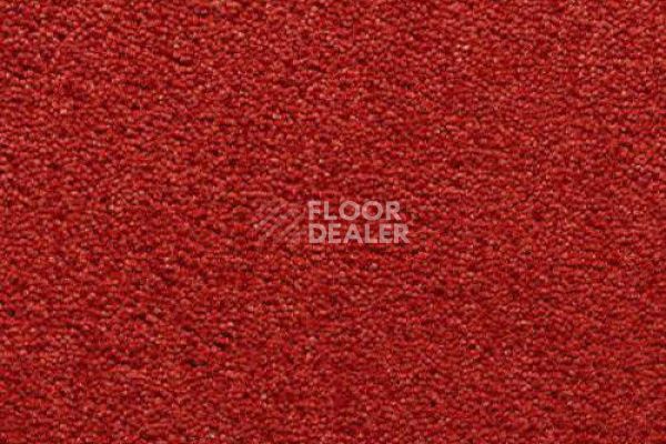 Ковролин CONDOR Carpets Antartica 232 фото 1 | FLOORDEALER