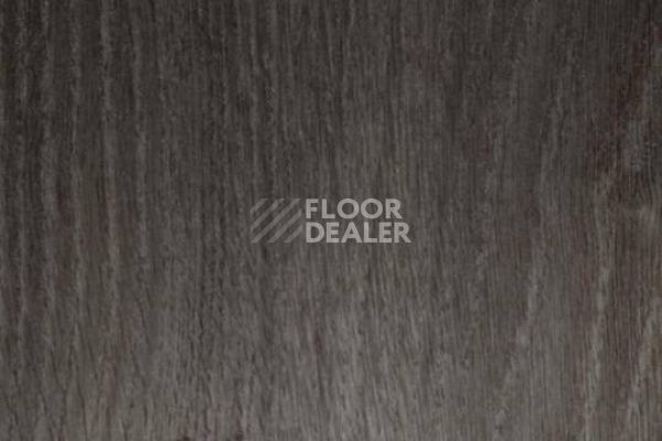 Виниловая плитка ПВХ FORBO Allura Premium 60237 фото 1 | FLOORDEALER