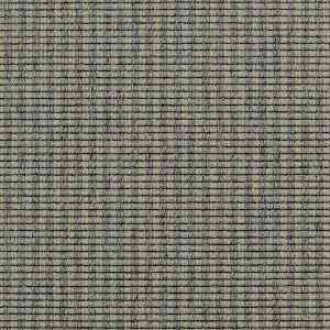 Ковролин Carpet Concept Goi 3 270105 фото ##numphoto## | FLOORDEALER