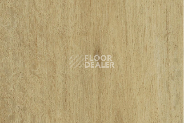 Виниловая плитка ПВХ FORBO allura decibel 0.8 wood 5113AD8 summer harvest oak (100x16.6 cm) фото 1 | FLOORDEALER