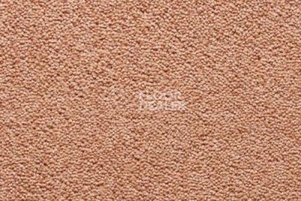 Ковролин CONDOR Carpets Antartica 222 фото 1 | FLOORDEALER