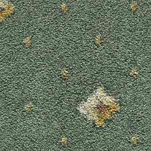 Ковролин CONDOR Carpets Asia 163 фото ##numphoto## | FLOORDEALER