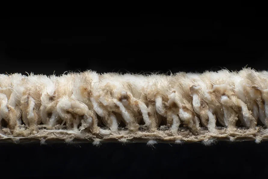 AW Stainguard Harvest 04 фото 5 | FLOORDEALER