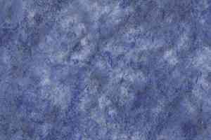 Линолеум Novoflor Standard 3100_17 фото  | FLOORDEALER