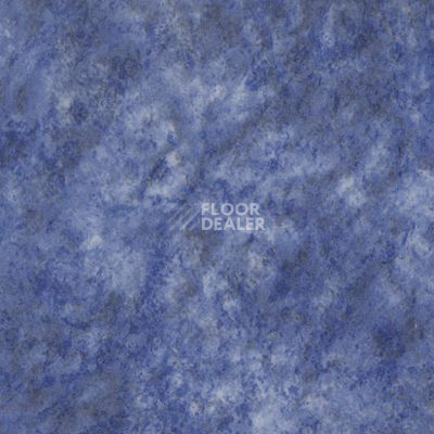 Линолеум Novoflor Standard 3100_17 фото 1 | FLOORDEALER