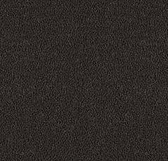 Ковровая плитка Westbond Ibond Natural 9017 фото 1 | FLOORDEALER