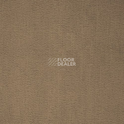 Ковролин Balta ITC Prominent 42 фото 1 | FLOORDEALER