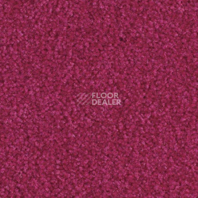 Ковролин Balsan Scenario 555 фото 1 | FLOORDEALER