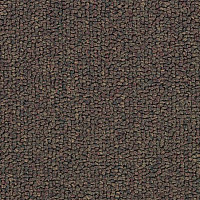 Ковролин Salisbury Beaulieu of America 312 фото 1 | FLOORDEALER