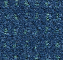 Ковролин Balsan Baccarat Baccarat 169 фото 1 | FLOORDEALER