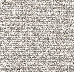 Ковролин Big Sense Hightlights 314 фото 1 | FLOORDEALER