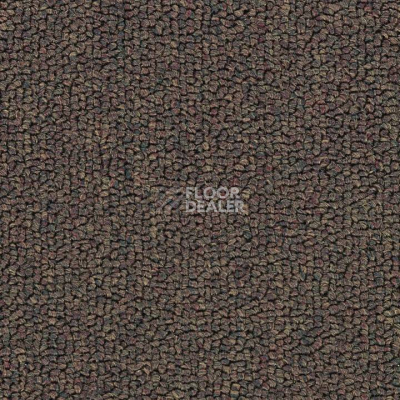 Ковролин Salisbury Beaulieu of America 312 фото 1 | FLOORDEALER