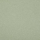 Линолеум Lg Compact CT90512  | FLOORDEALER