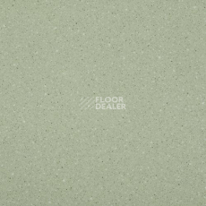 Линолеум Lg Compact CT90512 фото 1 | FLOORDEALER