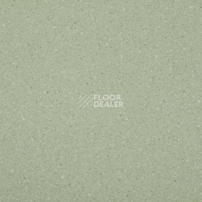 Линолеум Lg Compact CT90512 фото 1 | FLOORDEALER