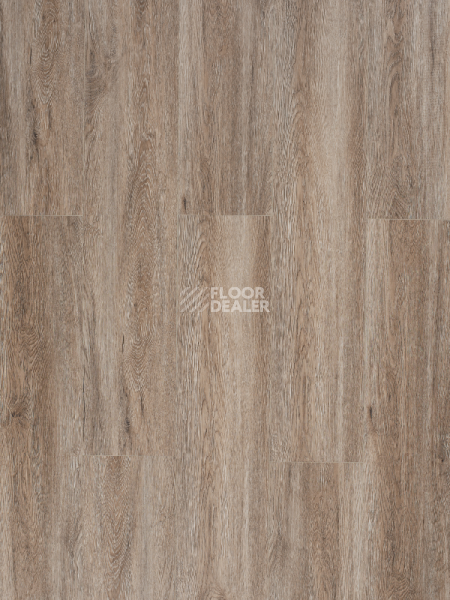 Кварцвиниловые полы My Step Aqua 4/232мм MSA48   Erne (Эрн) фото 1 | FLOORDEALER