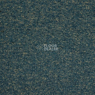 Ковролин Big  Studio 244 фото 1 | FLOORDEALER