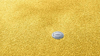 Ковролин Vorwerk Superior 1064/Lyrica Vorwerk 2f35 фото 1 | FLOORDEALER