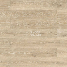 Пробковое покрытие Wood Essence D8G3001  Washed Highland Oak фото 1 | FLOORDEALER