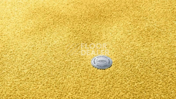 Ковролин Vorwerk Superior 1064/Lyrica Vorwerk 2f35 фото 1 | FLOORDEALER