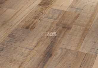 Ламинат Parador Basic Plus 200 1593726 Каштан Коричневый Винтаж фото 1 | FLOORDEALER