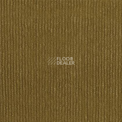 Ковролин Tapibel Bonanza 3596 фото 1 | FLOORDEALER