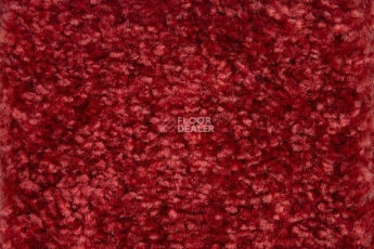 Balsan Sweet Dreams 560 фото 2 | FLOORDEALER