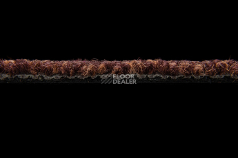 Season - Summer / Winter 585 фото 3 | FLOORDEALER