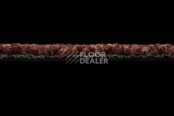 Balsan Season - Summer / Winter 585 фото 3 | FLOORDEALER