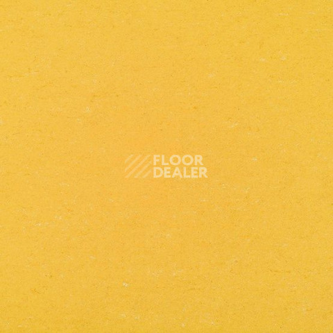 Линолеум Gerflor Colorette 0001 Banana Yellow фото 1 | FLOORDEALER