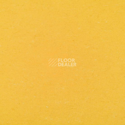 Линолеум Colorette 0001 Banana Yellow фото 1 | FLOORDEALER