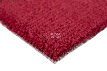 Balsan Les Best S 585 фото 4 | FLOORDEALER