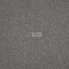 Ковролин AW Miracle 95 фото 1 | FLOORDEALER