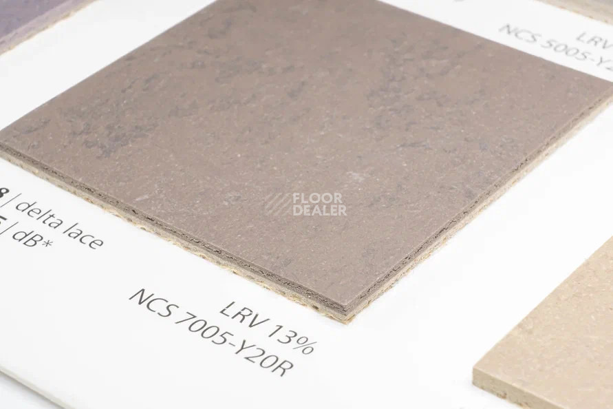 Forbo Marmoleum Solid Concrete 3568-356835 delta lace фото 2 | FLOORDEALER