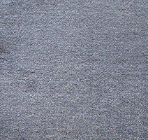 Ковролин Дюна Тафт Плеяда 550 981 фото 1 | FLOORDEALER