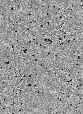 Vertigo Barnett VBS3 14 фото 1 | FLOORDEALER