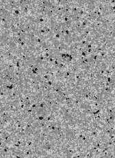 Vertigo Barnett VBS3 14 фото 1 | FLOORDEALER