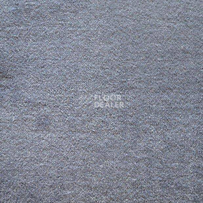 Ковролин Дюна Тафт Плеяда 550 981 фото 1 | FLOORDEALER