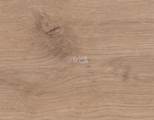 Ламинат Rooms Penthouse 12мм R1225A Дуб Чистый фото 2 | FLOORDEALER