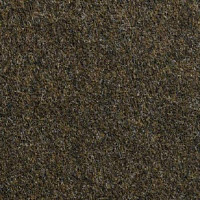 Ковролин Vebe Lindau 80 фото 1 | FLOORDEALER