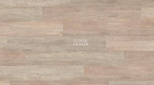 Кварцвиниловые полы Creation 55 Looselay 0441_Honey_Oak фото 1 | FLOORDEALER