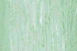 Линолеум Polyflor Xl Pu 3790 фото  | FLOORDEALER