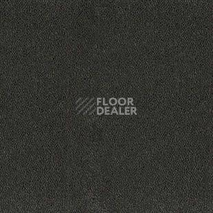 Ковролин Desso Asteranne 9012 фото 1 | FLOORDEALER