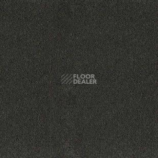 Ковролин Desso Asteranne 9012 фото 1 | FLOORDEALER