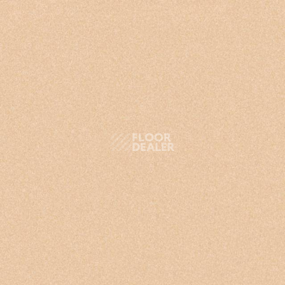 Линолеум Tarkett iq Melodia 2645 фото 1 | FLOORDEALER